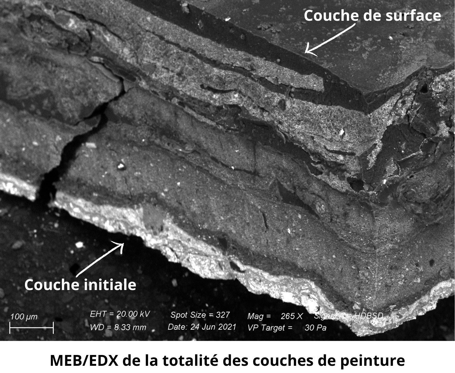 MEB/EDX des différentes couches